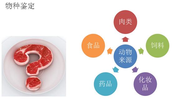 动物特定基因.jpg